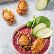 FoodStories_0534 FoodStories_0534